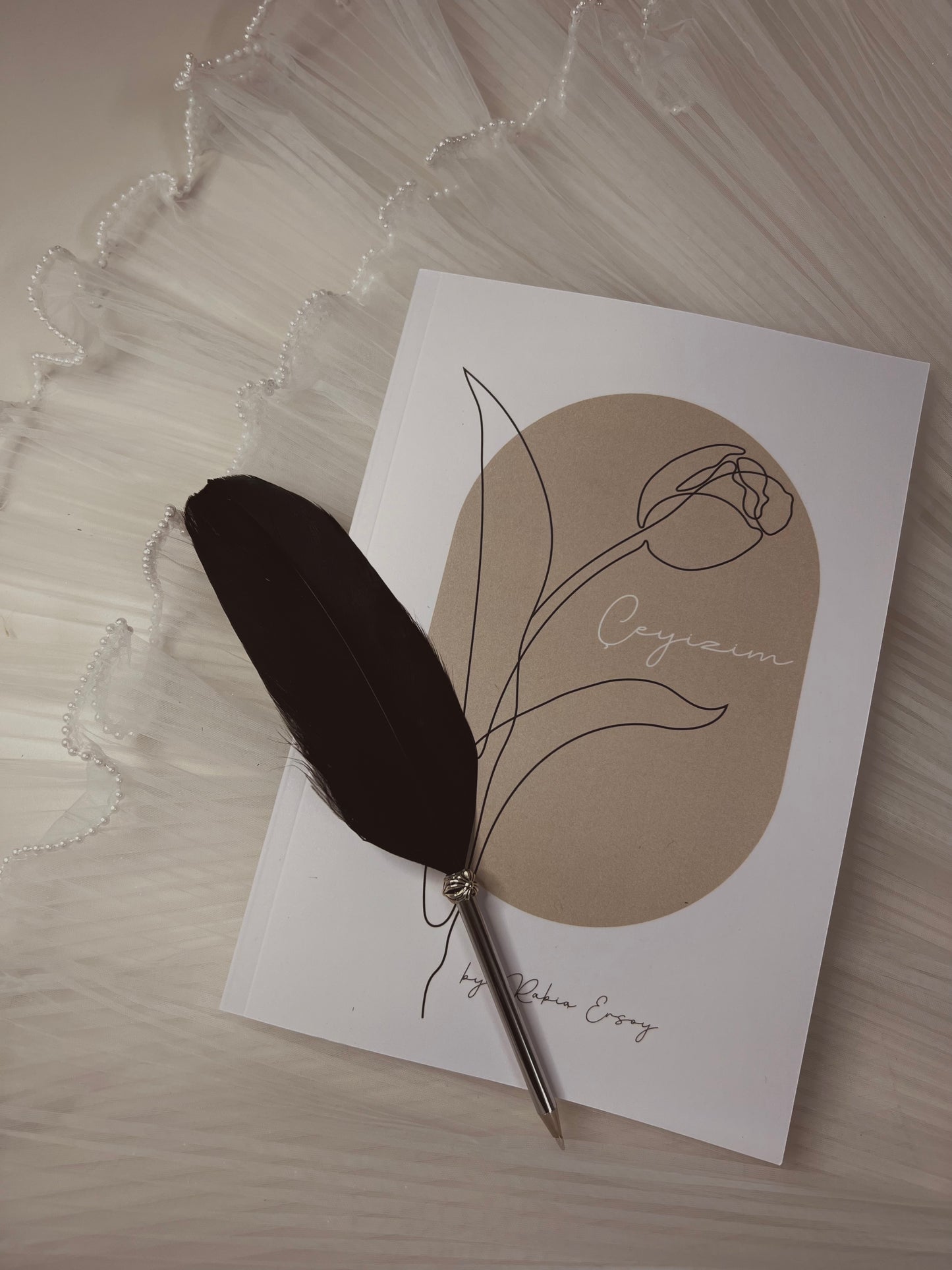 π΅πππππππππ